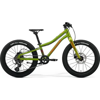 Dětské kolo MERIDA MATTS J. 20+ - 20 Fall Green(Red/Black)