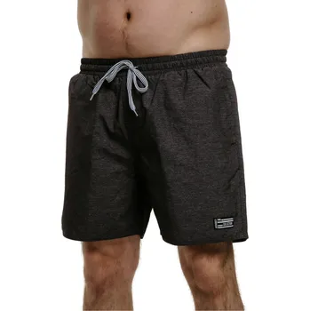 Pánské plavky Pánské plavky AUTHORITY-SW-COLORAS grey melange Šedá L