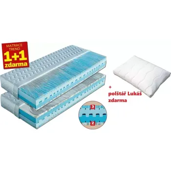 Matrace Dřevočal Marina 80x200 cm 1+1 AloeVera Doprava ZDARMA.