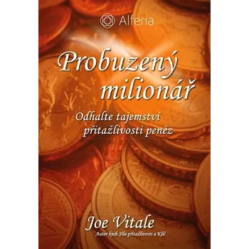 Kniha Probuzený milionář Ekniha