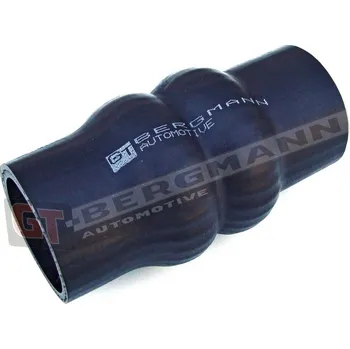 Turbodmychadlo Hadice plnícího vzduchu GT BERGMANN GT52-028