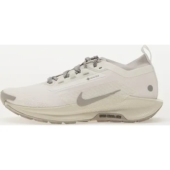 Pánské tenisky Tenisky Nike Pegasus Trail 5 Gore-Tex Summit White/ College Grey-Light Bone EUR 46