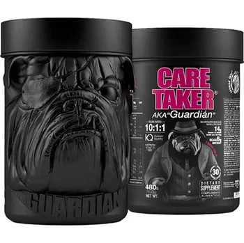 Aminokyselina Zoomad Labs BCAA 10:1:1 Caretaker 480 g Příchuť: pomeranč