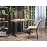 Psací stůl B53, dub artisan / černý