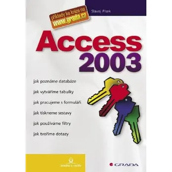 Kniha Access 2003 Ekniha