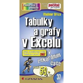 Kniha Tabulky a grafy v Excelu Ekniha