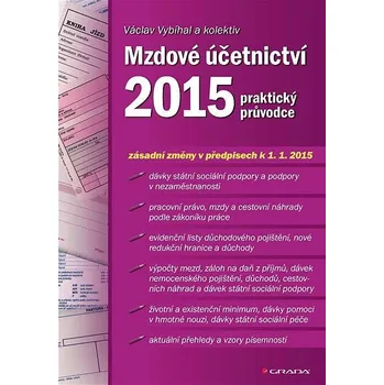 Kniha Mzdové účetnictví 2015 Ekniha