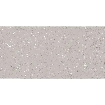 Dlažba Porfido - dlaždice rektifikovaná 59,8x119,8 šedá, tl. 9 mm DASV9811