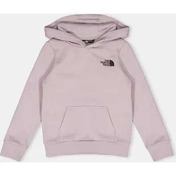 Pánské kraťasy The North Face Grey 1115394 L