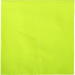 ROTHCO ROTHCO šátek JUMBO 68 x 68 cm - Zelená