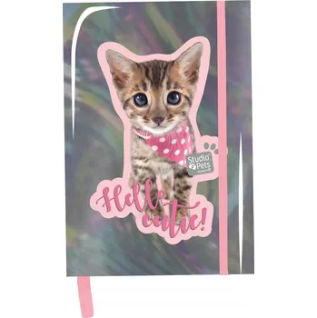 NOTES A5 S LUSTRZOVÝM OBALEM KOČKA PASO