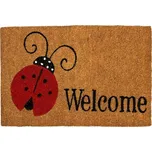 Kokosová rohožka připravená k použití pro venkovní použití 40 x 60 cm