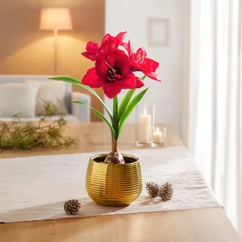 Die moderne Hausfrau Keramický květináč Elegant 494499