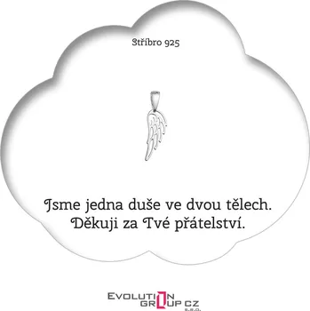 Náhrdelník Jsme jedna duše ve dvou tělech. Děkuji za Tvé přátelství - OB48
