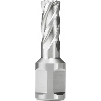 Vrták FI 12 x 30 mm Fréza děrovací HSSE RAIL