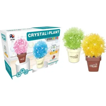 Dětská vědecká sada ICOM POLAND Sada pro pěstování krystalů – mix barev