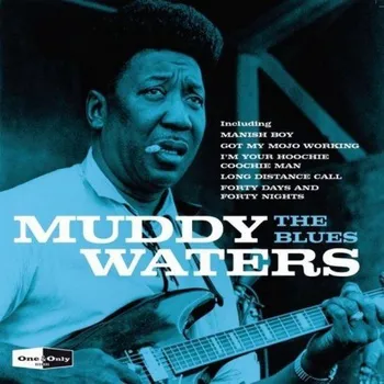 Zahraniční hudba The Blues - Muddy Waters [CD]
