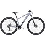 Cube Access WS Pro 29" stříbrné 2024 L