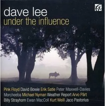 Zahraniční hudba CD Dave Lee: Under The Influence 2014