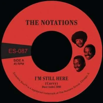 Zahraniční hudba SP The Notations: I'm Still Here CLR | LTD 2025 Coloured Opaque White Vinyl Limited Indie Edition