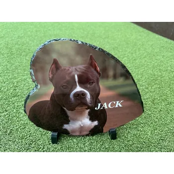 Smuteční dekorace Památka na domácí mazlíčky - fotokámen srdce - náhrobek pro psa
