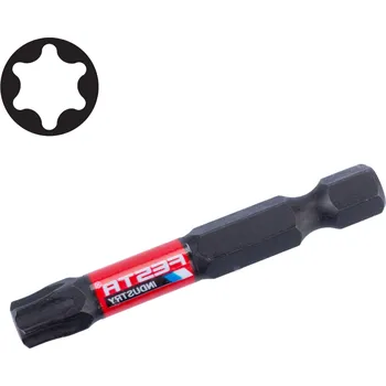 Bit FESTA® INDUSTRY Bit torzní S2 1/4“ TORX T40×50 mm, 2 ks 18725