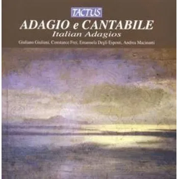 Zahraniční hudba CD Andrea Macinanti: Adagio E Cantabile: Italian Adagios 2013