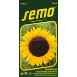 SEMO Slunečnice roční Mezzulah F1 10 ks