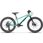 BEANY Blaster XC 24" 2025