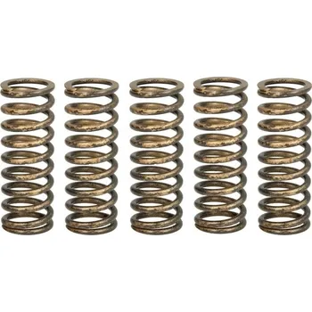 Sada pružin spojky TRW MEF344-5