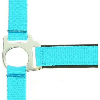 Vybavení pro koně Norton Měkce podložená ohlávka Neon Barva: modrá, Velikost: FULL