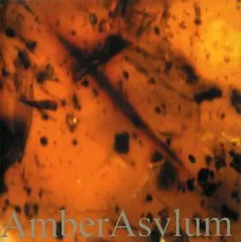 Zahraniční hudba CD Amber Asylum: Frozen In Amber 2009