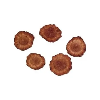 Sušené květiny Tophats natural loose, 250 g, hnědé