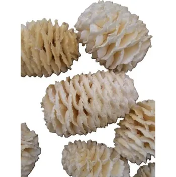 Sušené květiny Sabulosum loose bleached, 250 g, bělené