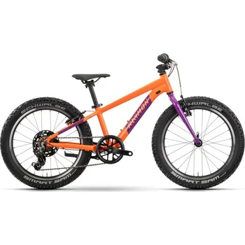 Dětské kolo Raymon Yanga 20