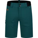 Pánské kraťasy NORDBLANC CLIMBHIGH NBSPM8197 ZELENÁ XXL