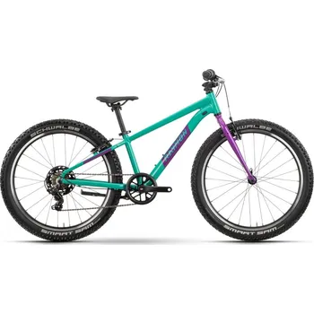 Dětské kolo Raymon bicycles Yanga 24\" 2022