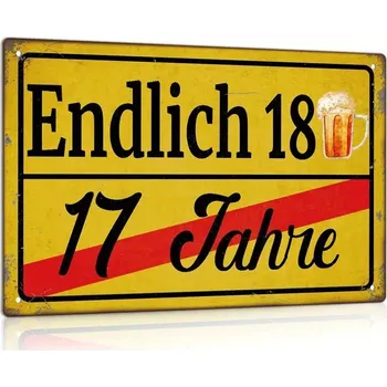 Plechová cedule BAF Plechová cedule Přání k 18 narozkám 30 x 20 cm