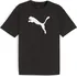 Pánské tričko PUMA TeamRise Logo 658705-03, L