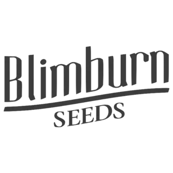 Semeno Blimburn Seeds - Café Racer