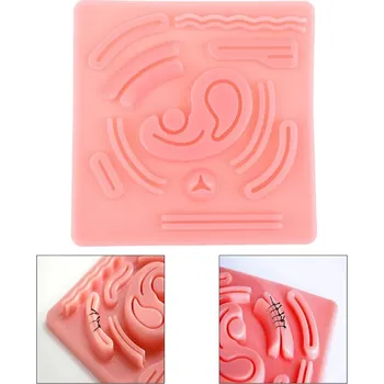 Trenažer ústní dutiny pro šití ran | šicí podložka, chirurgický trenažer - Jak ukazuje obrázek-202573808