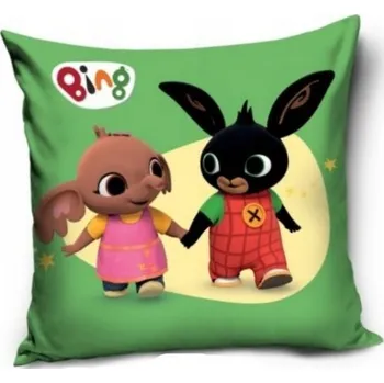 Polštář Povlak na polštář Bing (13)