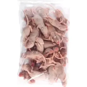 Krmivo pro terarijní zvíře Myš mražená - špek 3-4 g