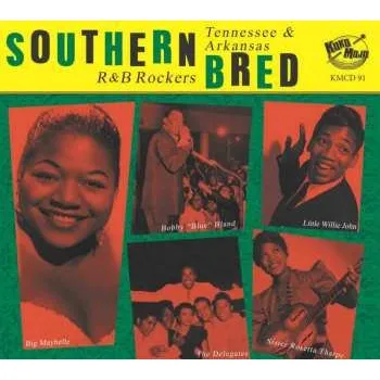Zahraniční hudba CD Various: No Blow, No Show - Southern Bred Vol.25 Tennessee & Arkansas R&B Rockers 2022