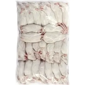 Teraristika Myš mražená - skokan malý 7-10 g