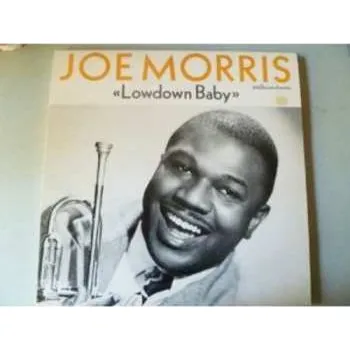 Zahraniční hudba LP Joe Morris Orchestra: Lowdown Baby 1999
