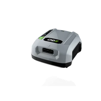 Ego Profesionální nabíječka CHX5500E