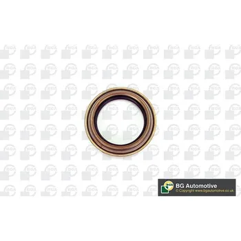 Těsnící kroužek hřídele u náboje kola BGA OS2319