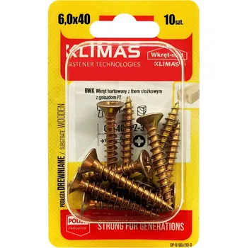 Vrut Vrut PZ se zápustnou hlavou – celý závit 6X40 (10ks/blistr)