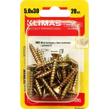 Vrut Vrut PZ se zápustnou hlavou – celý závit 5X30 (20ks/blistr)